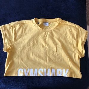 Gymshark Fraction Crop Top